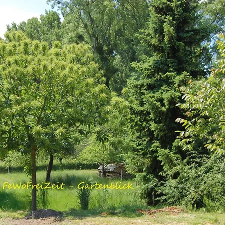 דירה Fewofreizeit ריינאו