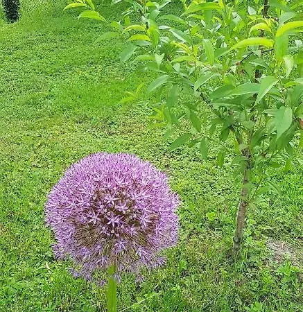 דירה Fewofreizeit