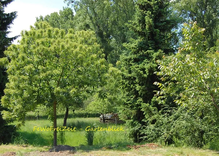 Apartment Fewofreizeit Rheinau