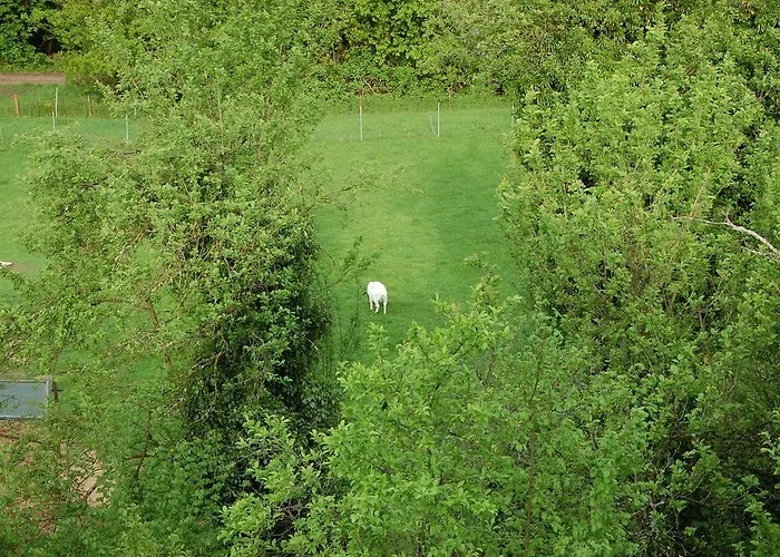 Fewofreizeit Apartment Rheinau