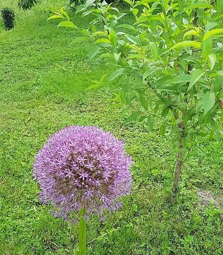 Apartment Fewofreizeit